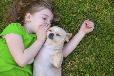 little girl with dog